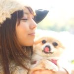 ドラマ『きみはペット』を無料で観られるおすすめ動画配信サービス