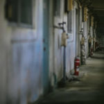 映画『仄暗い水の底から』を配信しているサブスク動画サービス【無料視聴あり】