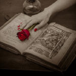 ドラマ『ミス・シャーロック』を配信しているサブスク動画サービス