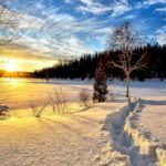 アニメ『ゴールデンカムイ』を配信している動画サービス【無料視聴あり】