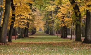 ドラマ『HERO/ヒーロー』はサブスク動画配信サービスで見れるのか？