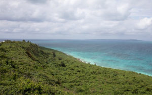 ドラマ『Dr.コトー診療所』を配信しているサブスク動画サービス