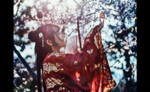 中国/台湾ドラマ(華流)が見放題の動画配信サービスおすすめ5選【サブスク比較】